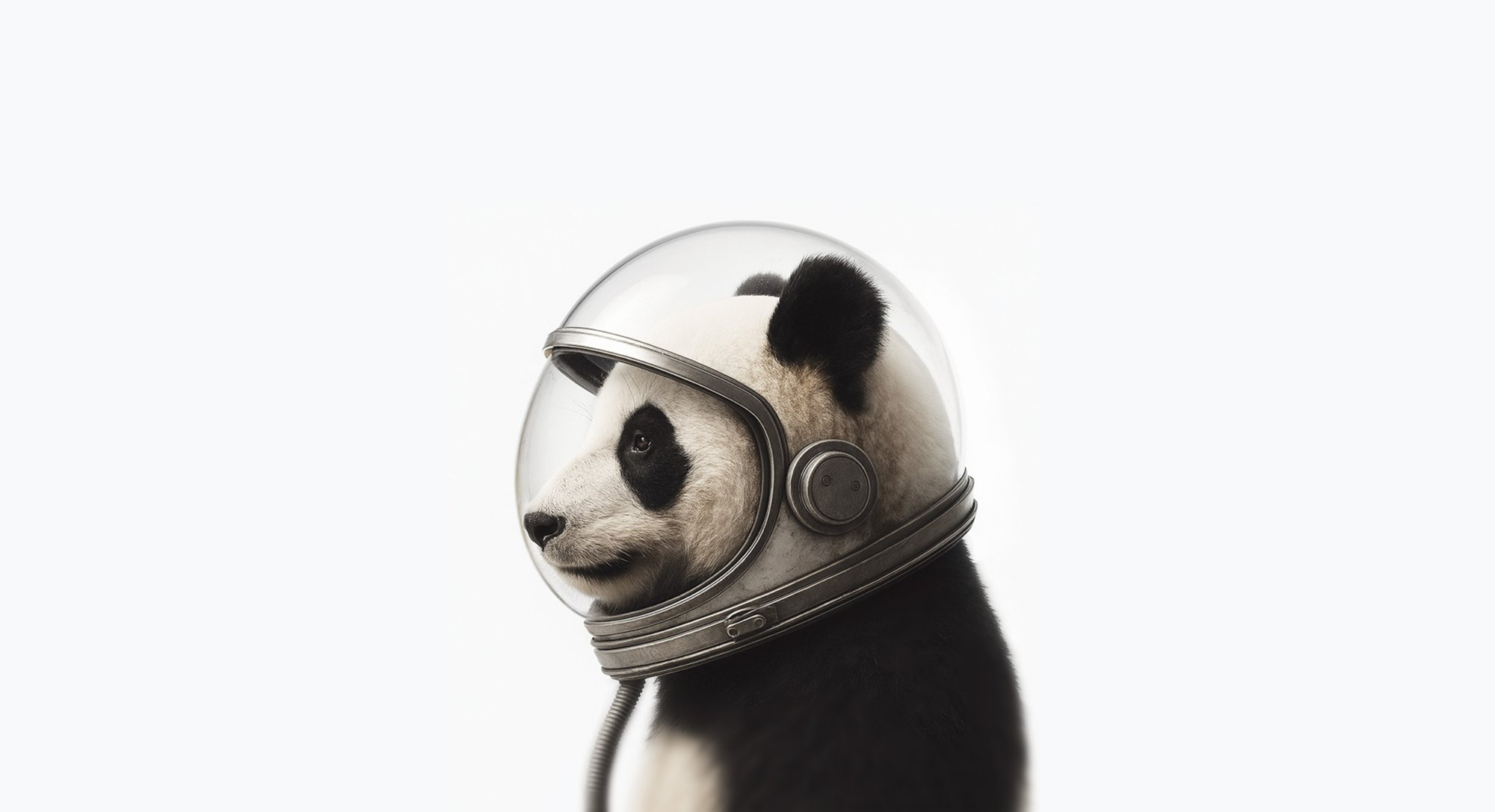 SkyOnMedia Mascot